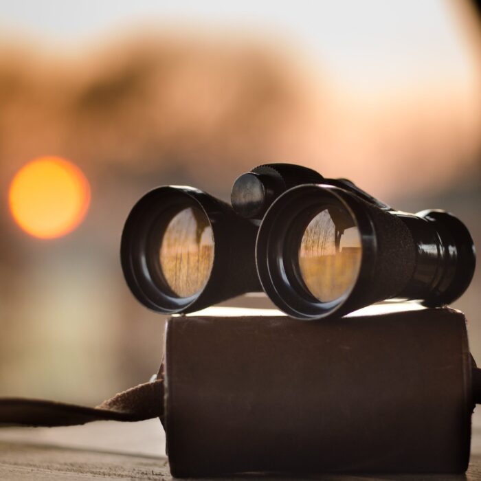 binoculars sitting on case on desk