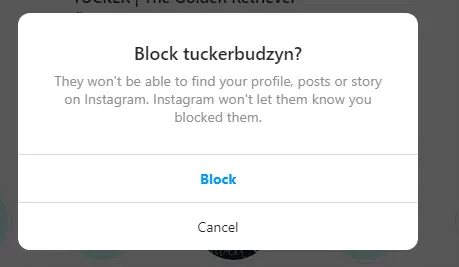 instagram pop up to block