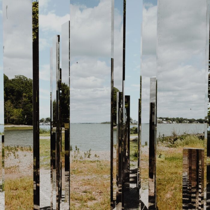 many mirrors in the landscape