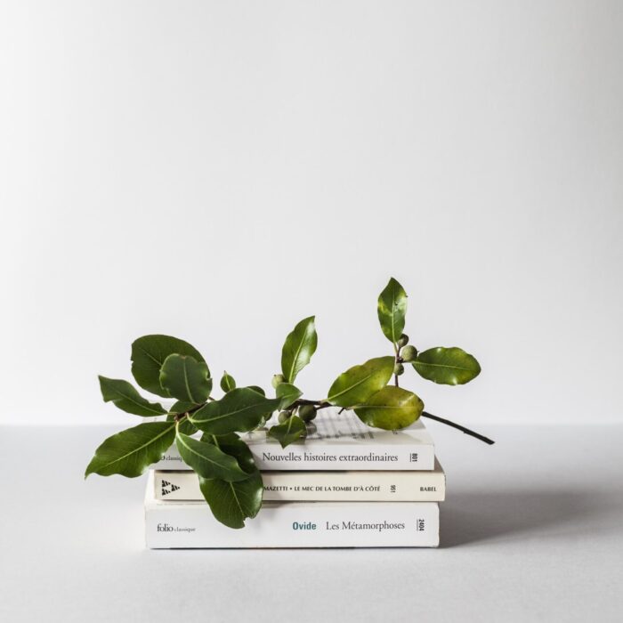 plants and books stacked