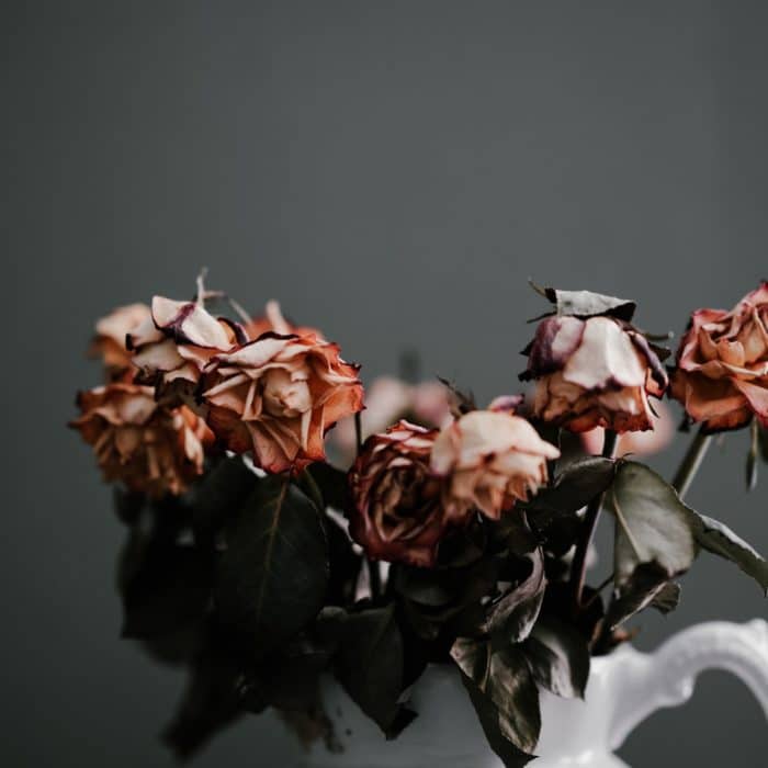 dying flowers