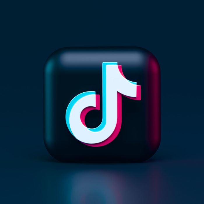 TikTok Logo