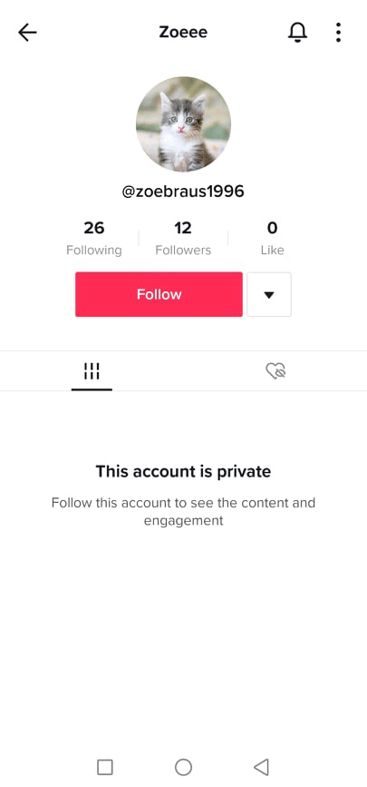 Send TikTok Follow Request