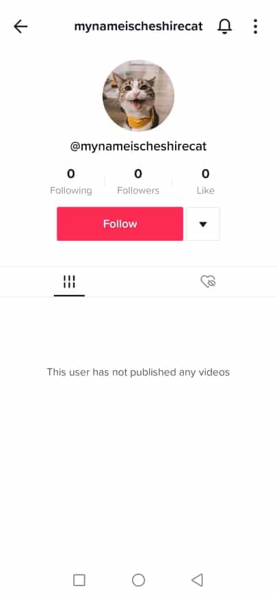 TikTok Other Person's Profile