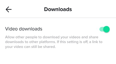 Video downloads