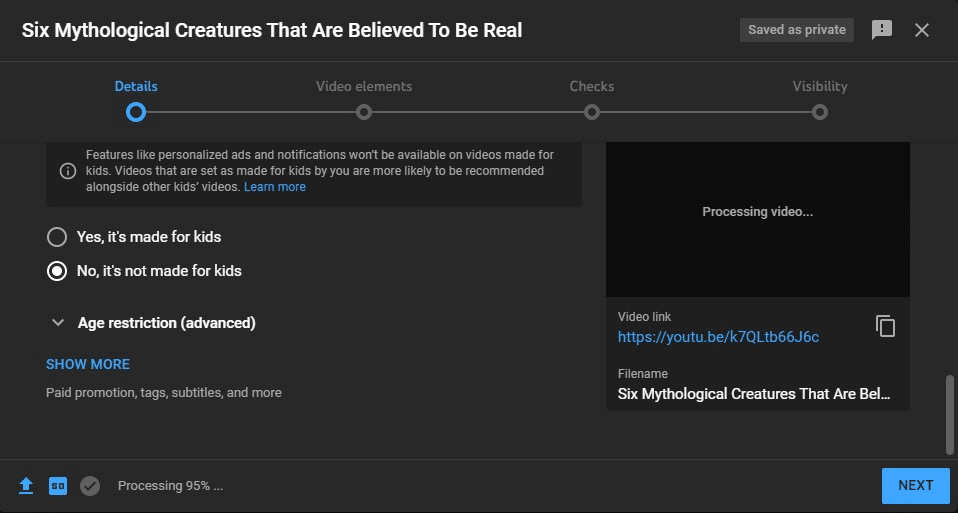 YouTube Video Upload is Stuck