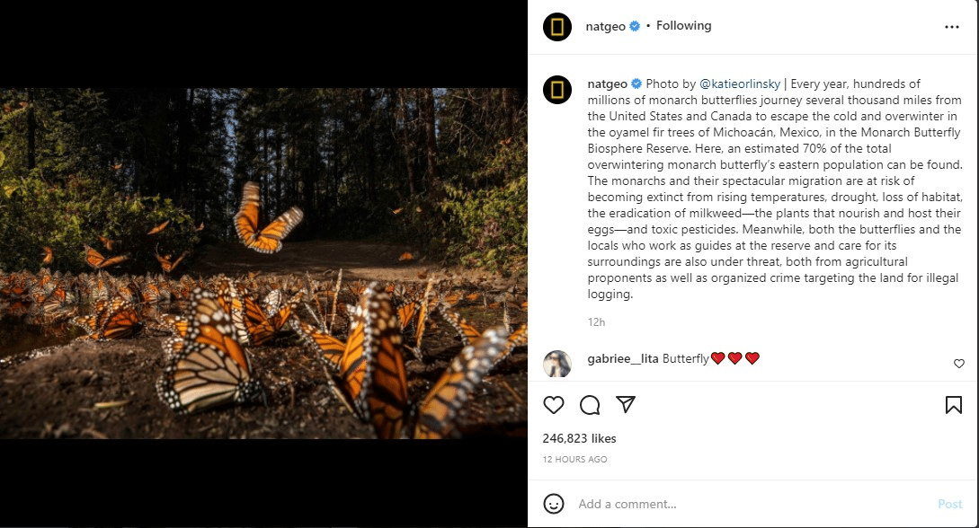 NatGeo Post on Instagram