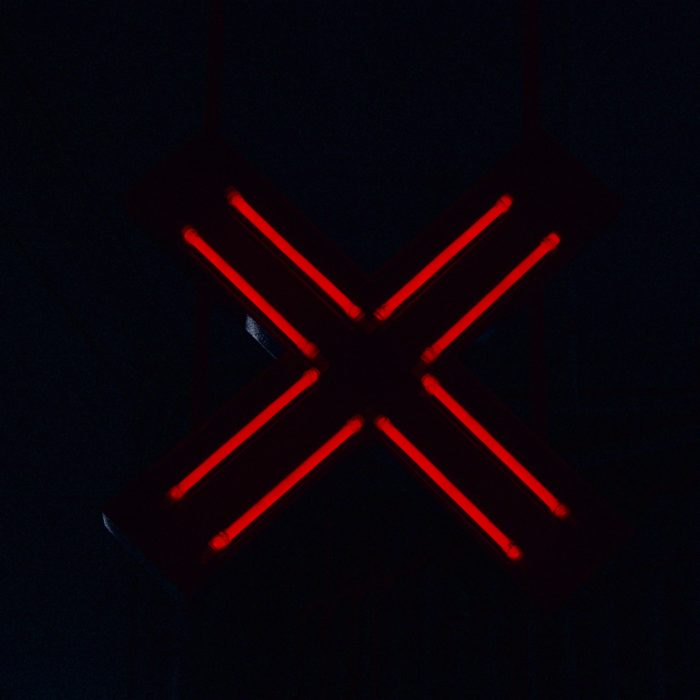 Neon X Sign
