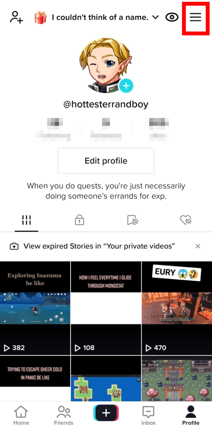 tiktok profile sample