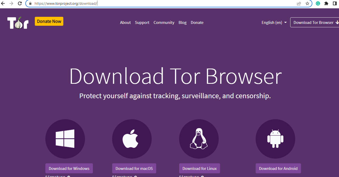 tor browser