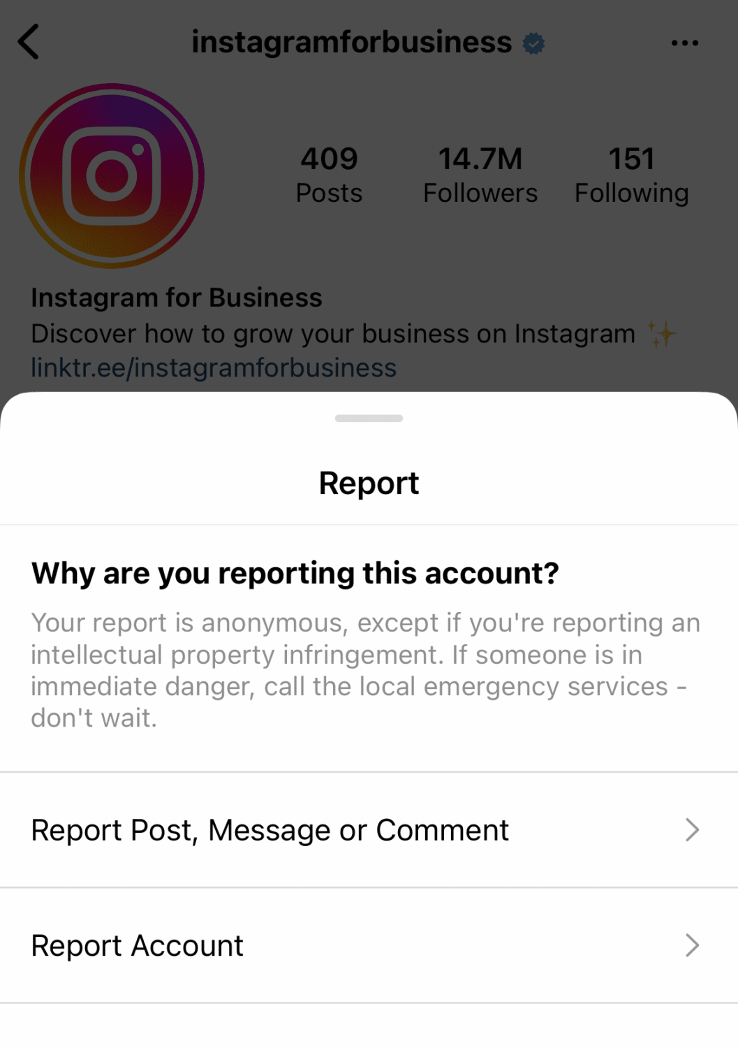 reason for reporting an account on instagram