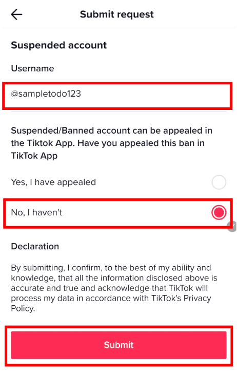 submit appeal on tiktok ban