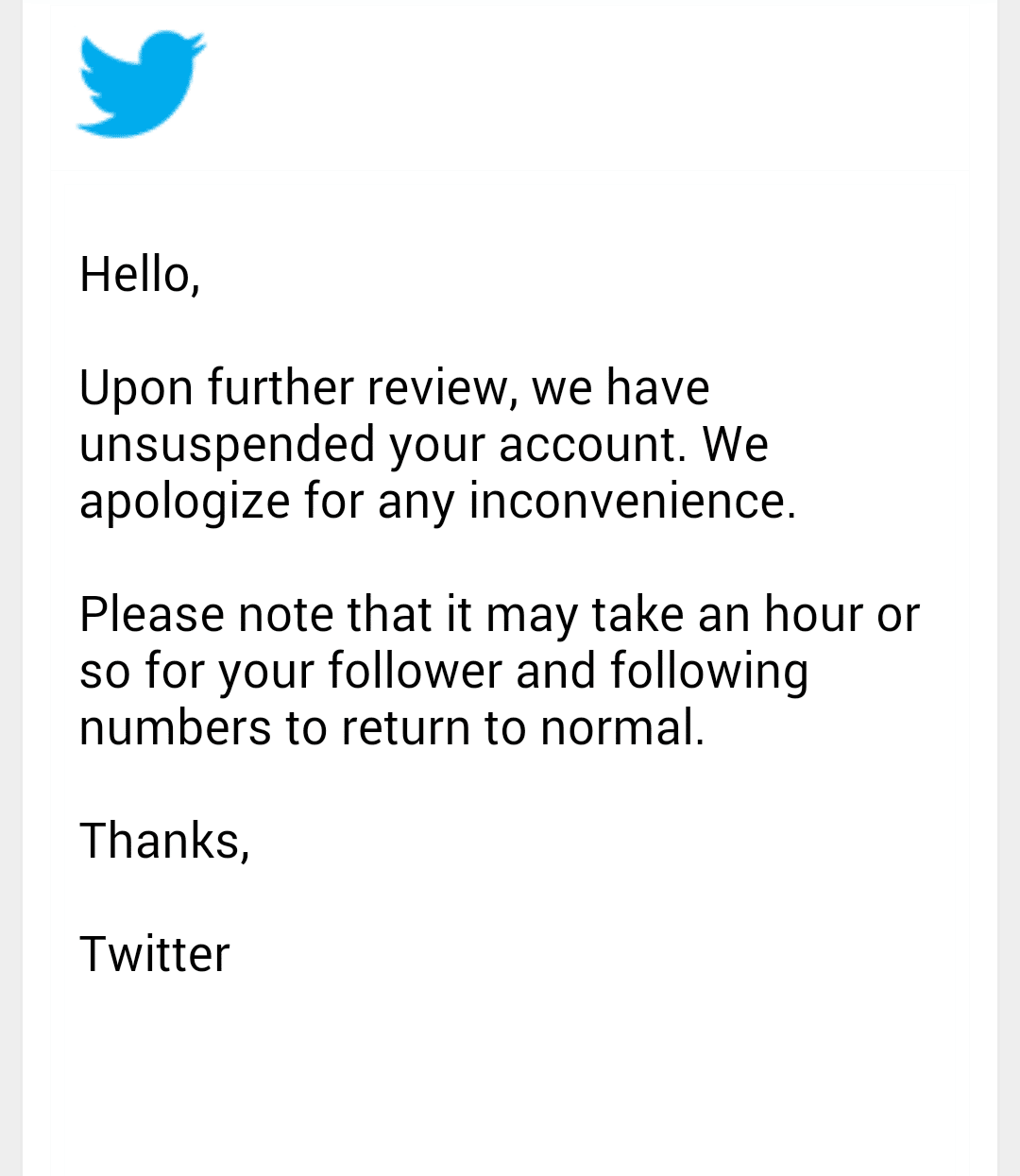 unsuspending account on twitter after policy review