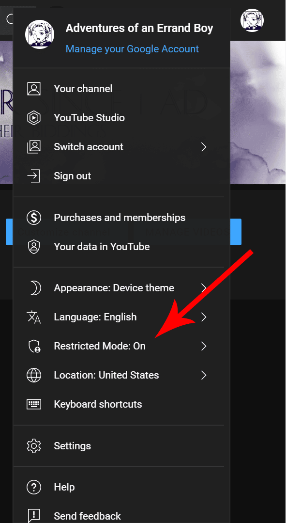 turn on off restricted mode in youtube settings
